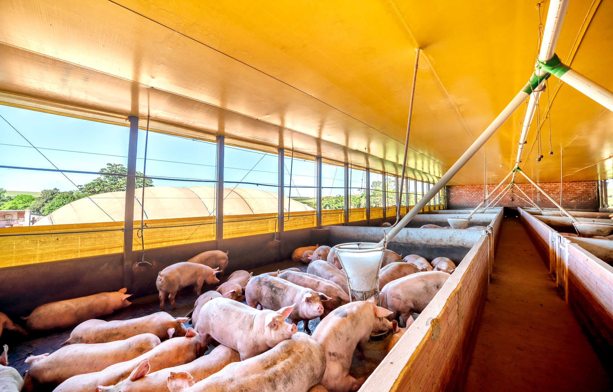 Fórum mostra oportunidades de modelos de negócio para o biogás e biometano