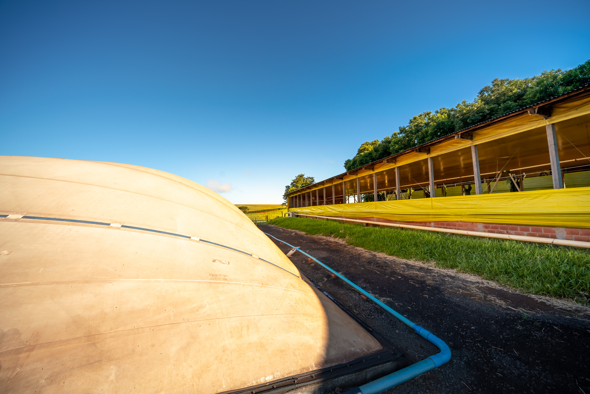 Fórum online debate potencial da produção, aponta soluções e proporciona negócios para o biogás e biometano